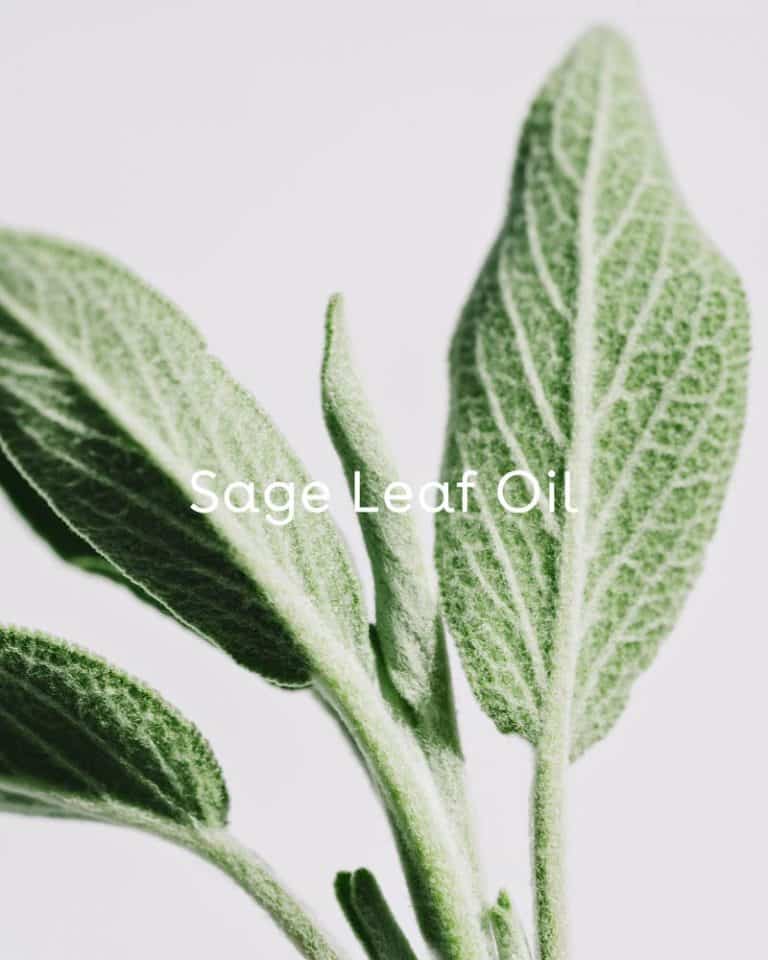 Grown along the breezy Mediterranean and in herb gardens across Europe, Sage and Chamomile make the perfect purifying pair. They’ve been the go-to for clean, youthful looking skin for women across Europe for centuries. The free-radical fighting properties of these herbal powerhouses work in unison to combat the signs of aging by reducing the effects of photodamage as they help prolong skin elasticity. Sold at Juniper Skincare in Edina, Minnesota.